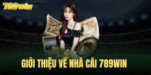 789Win Có An Toàn Không - Đánh Giá Cụ Thể Từ Hội Viên