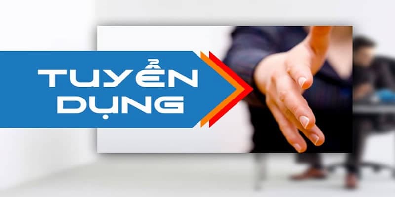 Thông tin về nhu cầu và các yêu cầu cơ bản trong vị trí tuyển dụng 789win